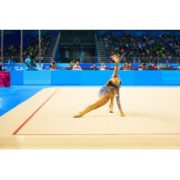 Гимнастический ковер 12х12м