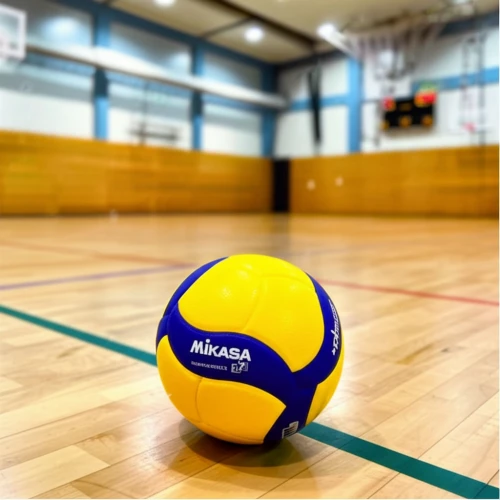 Мяч волейбольный Mikasa V200W